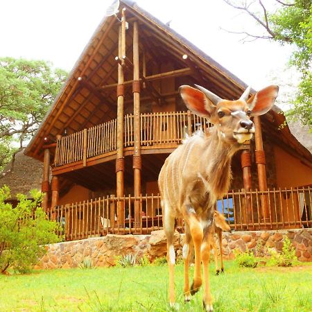 Kololo Game Reserve Vaalwater Exterior photo