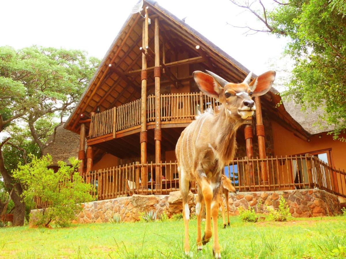 Kololo Game Reserve Vaalwater Exterior photo